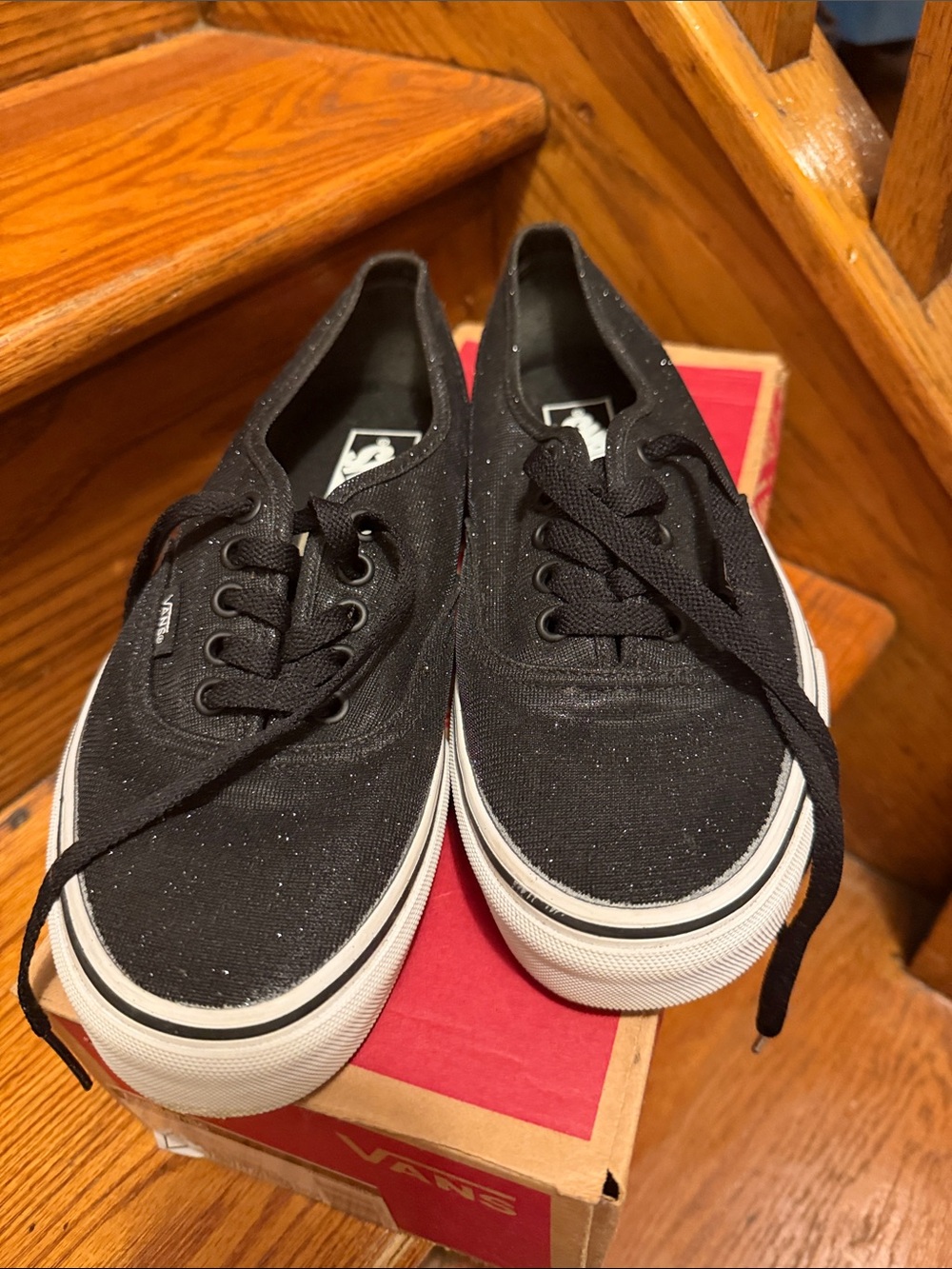 Vans Black Canvas Low-Top Sneakers